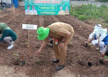 Upaya Turunkan Inflasi, Walikota Ajak Warga Banjarbaru Menanam Cabai Dan Sayuran