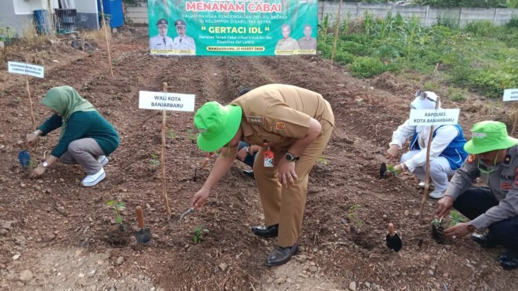 Upaya Turunkan Inflasi, Walikota Ajak Warga Banjarbaru Menanam Cabai Dan Sayuran
