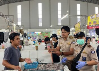 Jamin Mutu dan Kesehatan Pangan Ikan, BKIPM Banjarmasin Monitoring ke Pasar-pasar di 3 Kabupaten Kota, Dimana Saja?