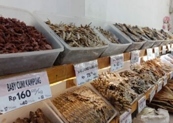 Omset Bisnis Ikan Asin Fino Capai Ratusan Juta Perbulan? Apa Saja Ikannya?