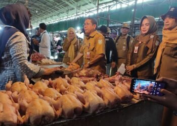 PlH Sekda Banjar Monitoring Harga Dan Ketersedian Bahan Pangan