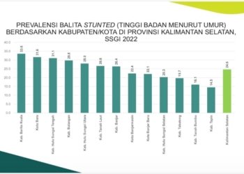 Wakil Ketua DPRD Kabupaten Banjar Sarankan Bentuk Pansus Stunting