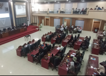 DPRD Kabupaten Banjar Bikin Dua Pansus