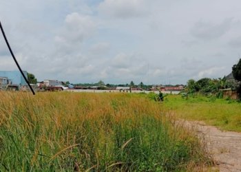 Sudah 2 Tahun Sampai Dipenuhi Belukar, Lahan Eks Pasar Bauntung Banjarbaru Masih Kosong