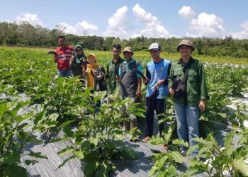 Kembangkan Fresh Market, PT MAS Dan PT BBP Bantu Gapoktan Kayuh Baimbai Dalam Kembangkan Inovasi