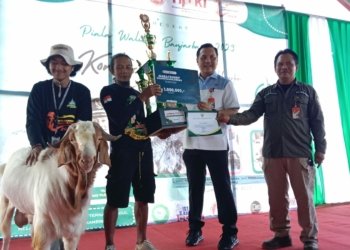 Tingkatkan Minat Ternak dan Kelestarian Melalui Kontes Kambing se-Kalimantan Selatan