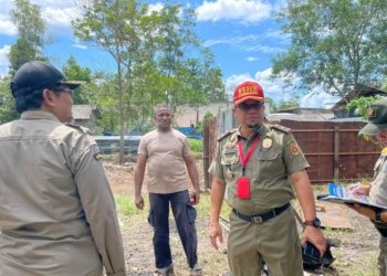 Ternak Babi di Banjarbaru Belum Kantongi Izin