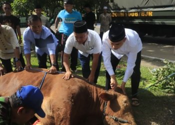 Kodim 1006 Banjar Sembelih 7 Ekor Hewan Qurban