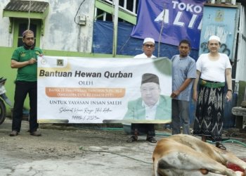 Puluhan Sapi Dibagikan Oleh Saifullah Tamliha Untuk Warga Kalsel