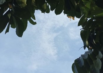 Prakiraan Cuaca di Banjarbaru 5 Juni 2023, Waspada Hujan Petir?