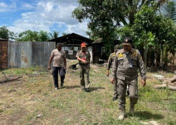 Satpol PP Akan Segera Tertibkan Peternakan Babi di Kota Banjarbaru