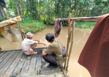 Petani Ikan Keramba di Dahai Balangan Terpaksa Beralih Jadi Petani Karet, Kenapa?