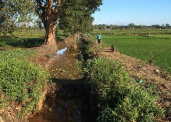 Pribadi Heru Jaya Harapkan Normalisasi Sungai Di Limamar