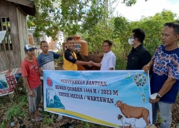 PT ITP Tarjun serahkan Sapi Qurban ke Wartawan Kotabaru.