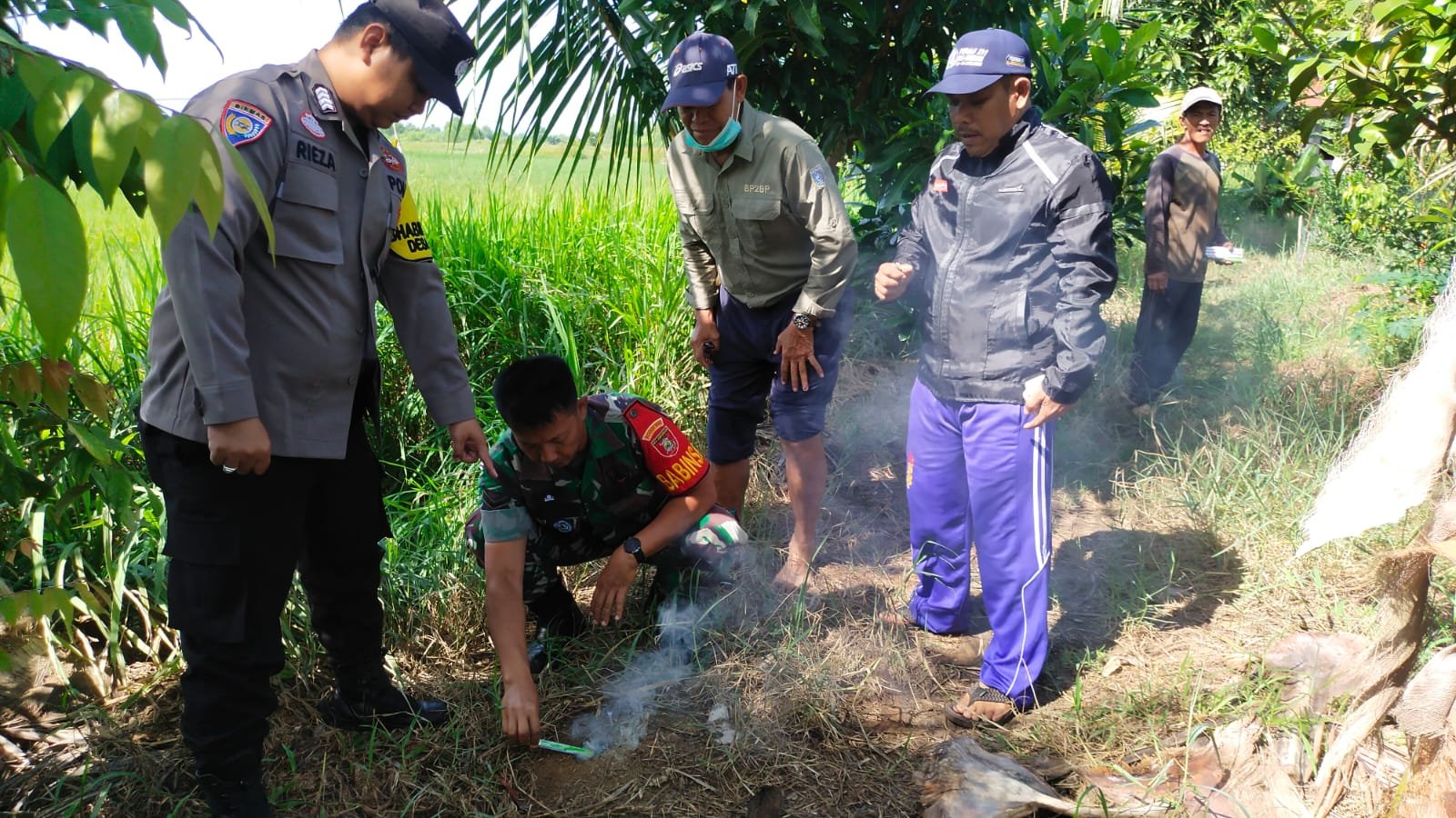 Babinsa Koramil Aluh Aluh Bersama Gapoktan Basmi Tikus