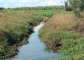 Puluhan Tahun Tidak Bisa Digarap, Petani Tungkaran Bersihkan Sungai Yang Merupakan Aliran Air Buangan Dari Tambak Ikan