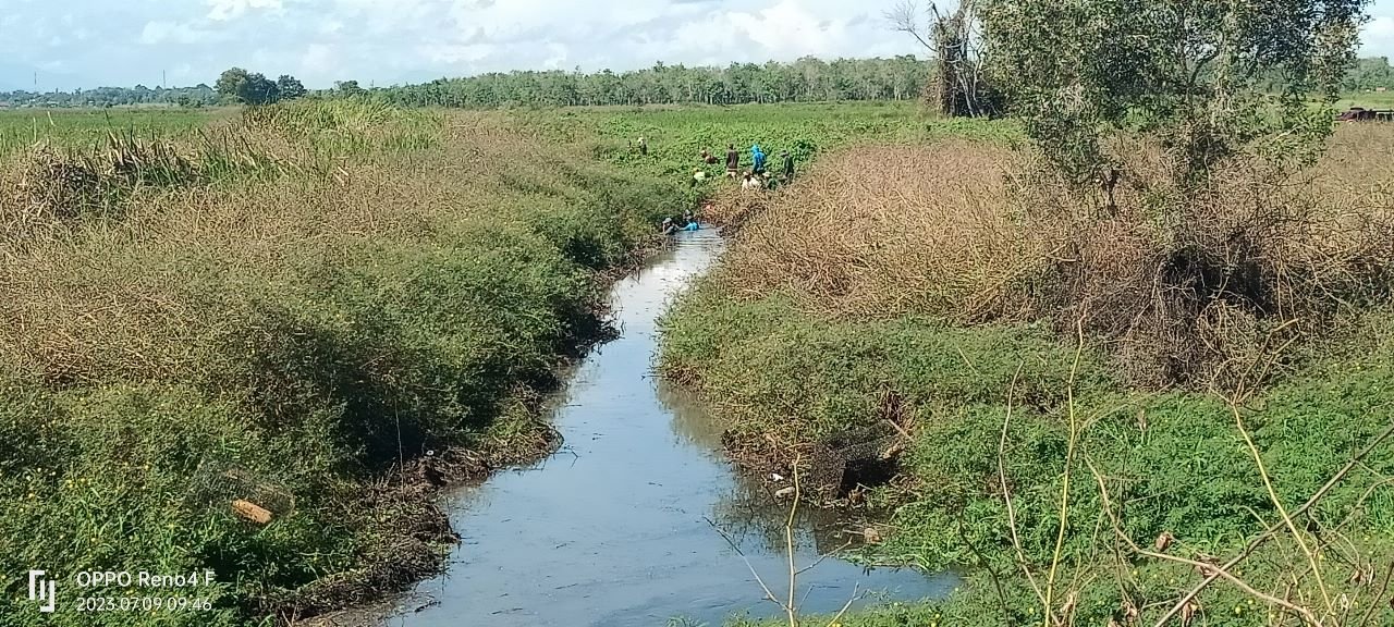 Puluhan Tahun Tidak Bisa Digarap, Petani Tungkaran Bersihkan Sungai Yang Merupakan Aliran Air Buangan Dari Tambak Ikan