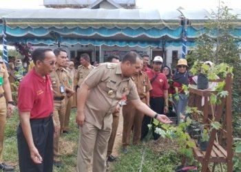 Lahan Terlantar di Banjarbaru Mulai di Inventaris Jadi Perkebunan dan Pertanian