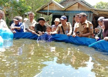 Penanganan Desa Rawan Pangan dan Stunting, DKPP Banjar Gelar Kegiatan Terpadu
