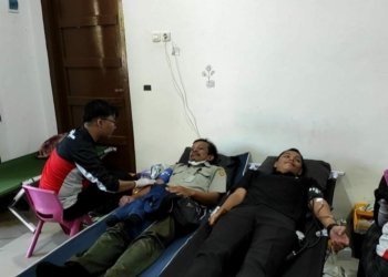 Hari Donor Darah Sedunia, PMI Target 100 Kantong Darah