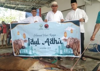 Satu Ekor Sapi Qurban ke DPC PDI Perjuangan Kotabaru Dari Anggota DPRD, Zulkipli : Tahun Ini Lebih Banyak
