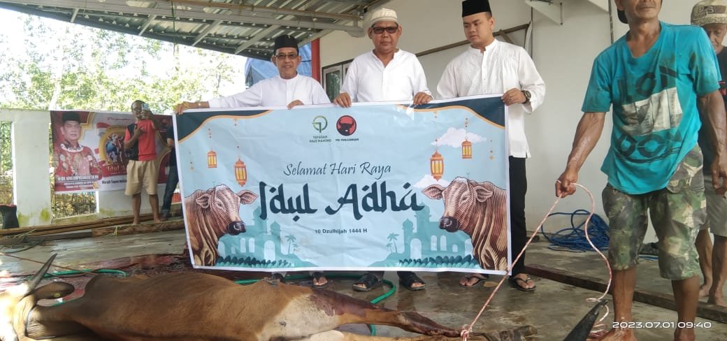 Satu Ekor Sapi Qurban ke DPC PDI Perjuangan Kotabaru Dari Anggota DPRD, Zulkipli : Tahun Ini Lebih Banyak