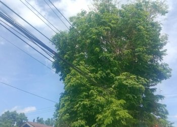 Kabel Listrik Semrawut, Syamsuri Komisi II DPRD Banjarbaru : Pemerintah Akan Menatanya