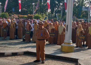 Indeks Sistem Pemerintahan Berbasis Elektronik Di Kabupaten Banjar Tahun 2022 2,56 Persen