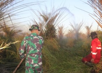Dandim 1006/ Banjar Bersama Petugas Gabungan Karhutla Padamkan Api Di Lokasi Hot Spot 