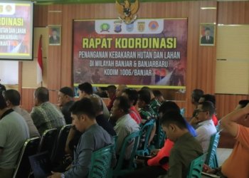 Tangani Karhutla, Pembukaan Pintu Air Irigasi Sangat Mendukung Pemadaman Api