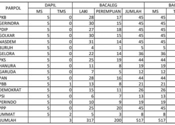 KPU Kabupaten Banjar Serahkan Nama Nama DCS Kepada 17 Partai Politik