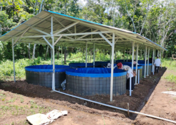 Proyek Pengadaan Kolam Bundar Kepada Pembudidaya Ikan Di Kabupaten Banjar