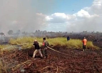 10 Hektar Lahan Di Desa Antasan Sutun Kabupaten Banjar Terbakar
