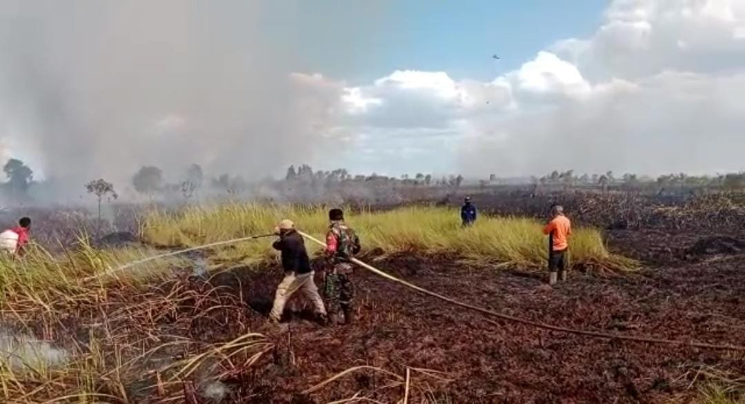 10 Hektar Lahan Di Desa Antasan Sutun Kabupaten Banjar Terbakar