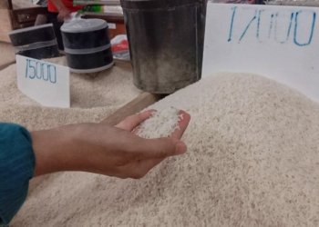 Masuk Musim Panen, Harga Beras di Banjarbaru Mulai Turun