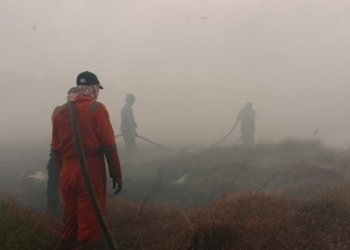 285 Hektar Lebih Lahan Terbakar Di Kabupaten Banjar