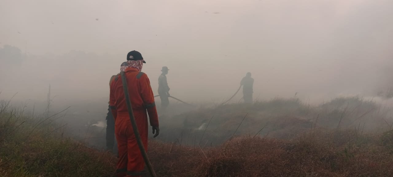 285 Hektar Lebih Lahan Terbakar Di Kabupaten Banjar
