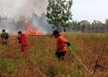 Kerja Keras Personel TNI Bersama Tim Gabungan Satgas Karhutla Berhasil Padamkan Api