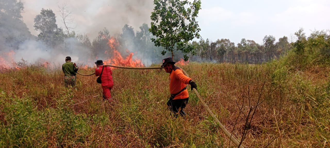 Kerja Keras Personel TNI Bersama Tim Gabungan Satgas Karhutla Berhasil Padamkan Api