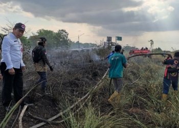 Kalak BPBD Kabupaten Banjar Pantau Pemadaman Karhutla