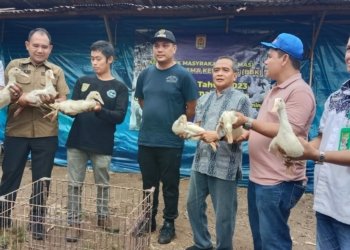 Walikota Panen Ribuan Bebek Hasil RT Mandiri