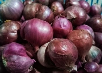 Harga Bawang Merah di Banjarbaru Hari Ini Murah
