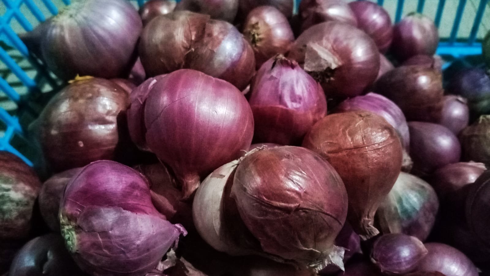 Harga Bawang Merah di Banjarbaru Hari Ini Murah