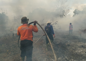 Dalam Satu Hari, Tim Gabungan BPBD Kabupaten Banjar Padamkan Karhutla Di 5 Lokasi