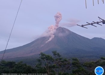 Gunung Semeru Erupsi Lagi!