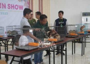 Kalimantan Ditargetkan Bebas Rabies Tahun 2030