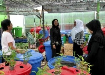 Pokmas di Banjarbaru Dapat Bantuan Sumur Bor dari Anggota Dewan