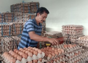 Harga Telur di Banjarbaru Turun di Bulan Maulid