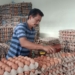 Harga Telur di Banjarbaru Turun di Bulan Maulid