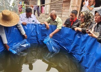 Sungai Batang Ilir Digenjot Menjadi Desa Mandiri Pangan